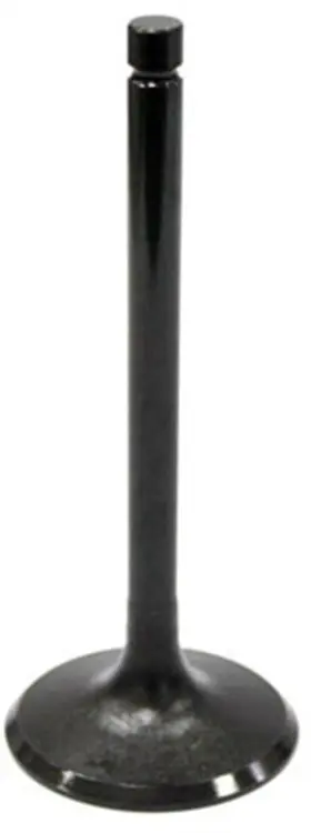 Au-09020i Bronco - Intake Valve