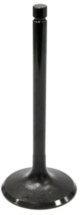 Au-09026i Bronco - Intake Valve