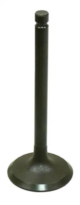 Au-09157i Bronco - Intake Valve