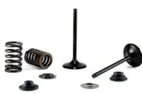 Au-09201i Bronco Intake Valve