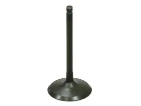 Au-09219i Bronco Intake Valve