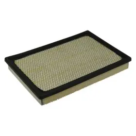 Xa4343 Ecogard Air Filter