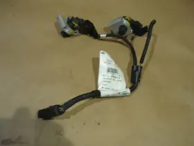 259823 Ferrari 458 - Wiring Harness With Phase Sensors P/n