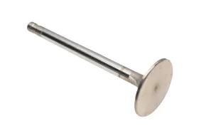 690gc2187a Mack Intake Valve Nos