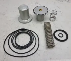 212.00211 Ricambi Intake Valve Rebuild Kit New 212.00211 Ricambi Intake Valve Rebuild Kit New