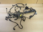 2012-2019 Bmw F10 M5 F06 F12 F13 M6 Right Wire Harness 7852144 1-4 Cyl. Oem 3620. Fixed Price $199.99.