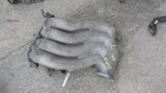 Intake Manifold 2.0L Convertible With Engine Id Bev Fits 03-05 Beetle 403161. Fixed Price $115.49.