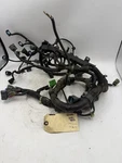 1996-1998 Honda Civic OBD2A Dx D16Y7 Sohc Non Vtec Automatic Engine Wire Harness. Fixed Price $215.00.