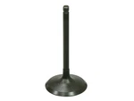 Bronco Intake Valve AU-09219I. Fixed Price $15.95.