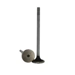 Pack Of Bimetal Intake Valves Fit Mack E-tech 690GC2210 690GC429 25101244. Fixed Price $137.70.
