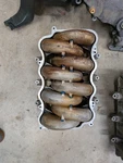 1997 Lower Intake. Came Off Running Cobra. Has Not Been Modified.. Fixed Price $150.00.