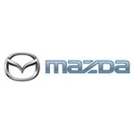 Genuine 2018-2021 MAZDA6 Fuel Injector O-ring L3K9-13-253. Fixed Price $27.53.