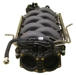 Ford Performance Dual Throttle Body Intake Manifold 2024 Gen 5.0L Coyote. Fixed Price $360.00.