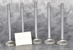 Pai EVA-8130 Intake Valve Lot Of 5 Replaces 690GC2187A Mack I17. Fixed Price $74.99.
