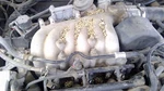 1998-1999 Ford Taurus Upper Intake Manifold Oem 3.0L Ohv F8DZ9424AA. Fixed Price $103.31.