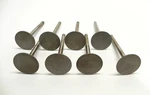 Vintage 1955 Dodge Trk 8CYL & Chrysler Set Of Valves #1538094 Sp #VI-1228 Nors. Fixed Price $45.89.