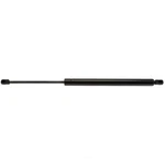 Liftgate Support Strong Arm 4754. Fixed Price $25.99.