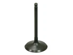 Bronco Products Intake Valve AU-09219I. Fixed Price $19.81.