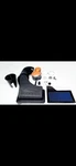 Steeda Proflow Cold Air Intake 2015-2023 Mustang Gt 5.0 (pn 555-3220)NEW Box. Fixed Price $450.00.