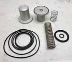Ricambi Intake Valve Rebuild Kit 212.00211 New. Fixed Price $44.99.