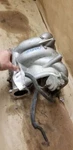 Intake Manifold Es 2.0L Fits 04-07 Lancer 1656132. Fixed Price $123.92.