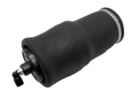 New PP340425 Infinity/ Goodyear Super Cushion Air Spring. Fixed Price $105.00.